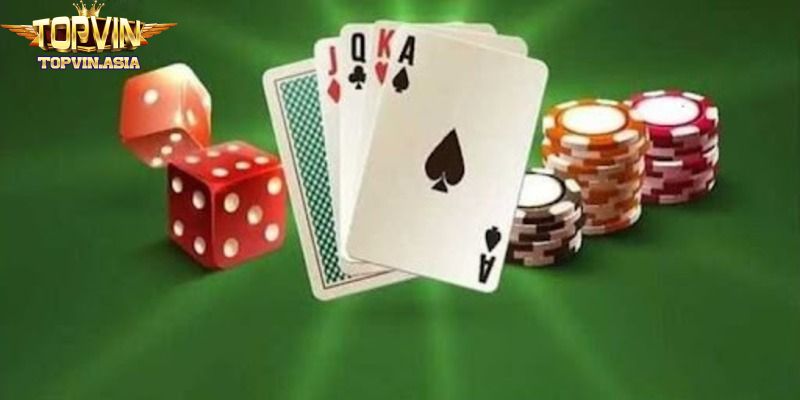 Trong 4 lá giành chủ Bull Bull cần chuẩn bị công cụ gì?